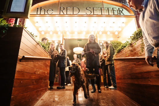 Urban Pubs & Bars opened The Red Setter Pub in Battersea in style - with Red Setter dogs as VIP guests!
