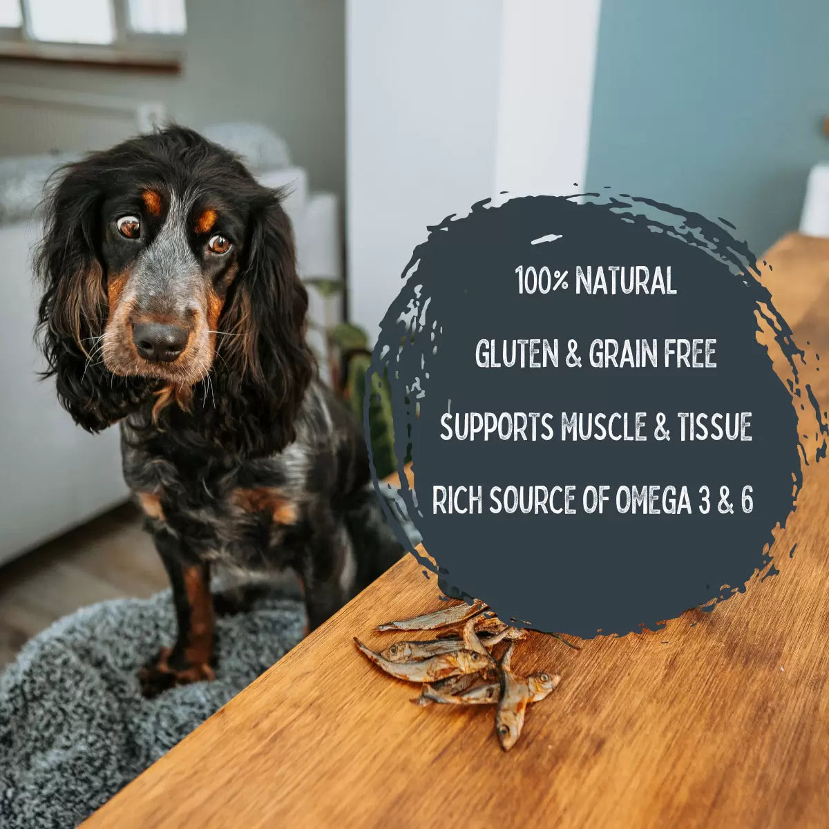 Wilsons Baltic Sprats for Dogs (1kg)