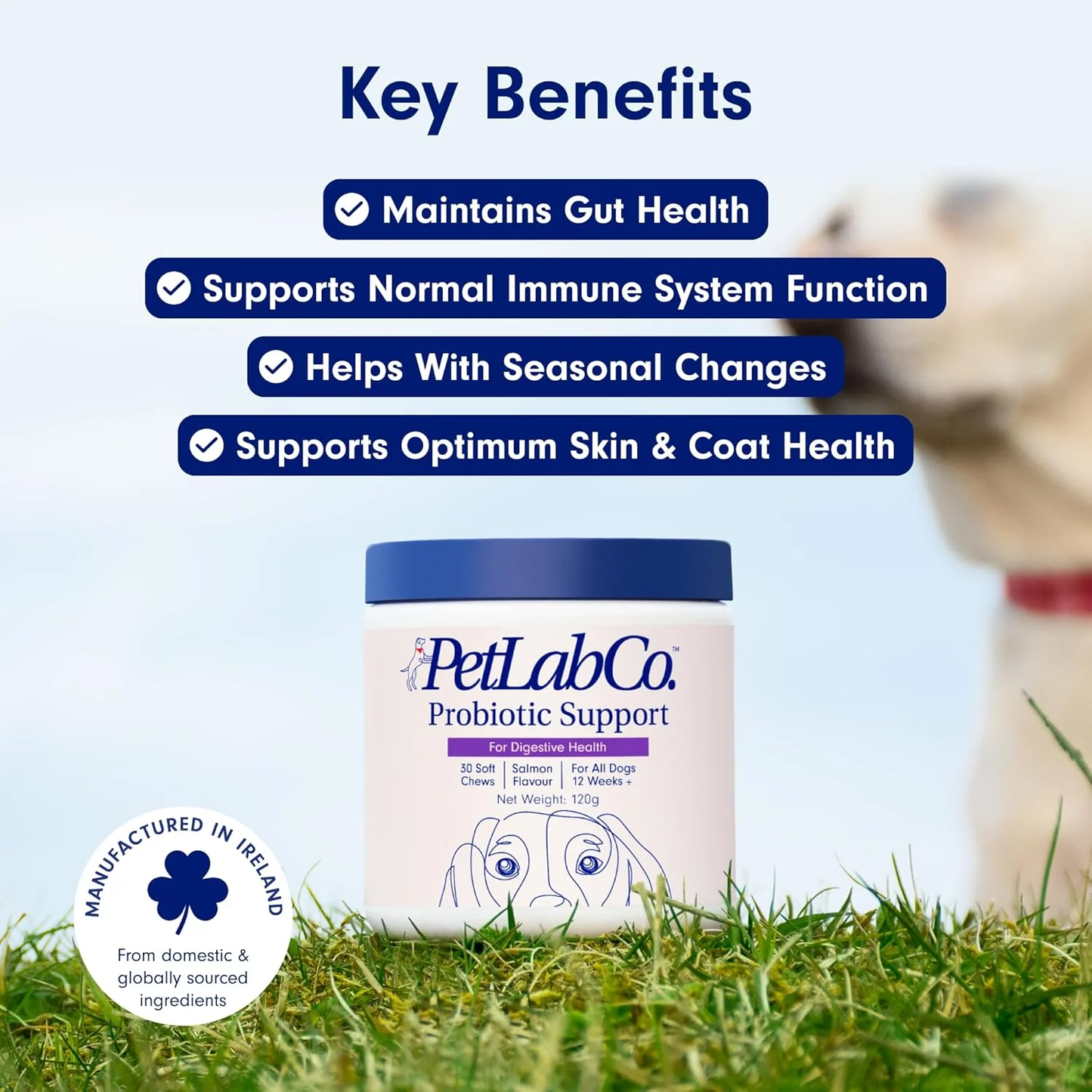 PetLab Co. Probiotics for Dogs – Gut Health, Digestion & Allergy Support (Salmon, 30 Soft Chews)