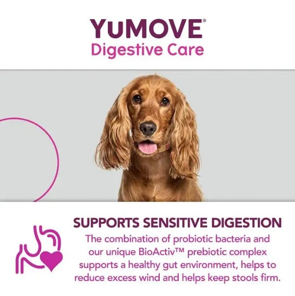 YuMOVE Digestive Care Pre & Probiotic Dog Supplement – Gut Health Support (120 Tablets)