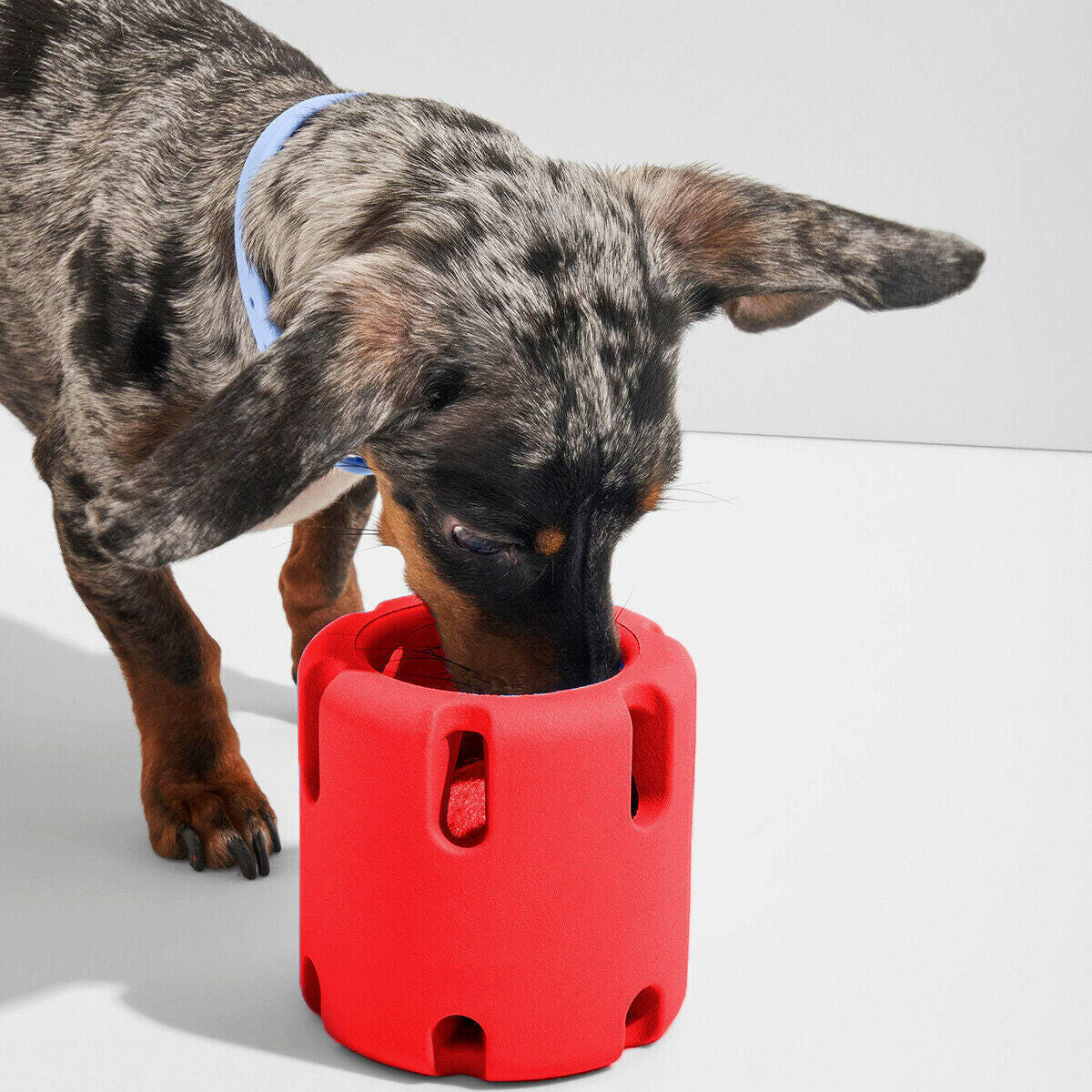 Tennis Tumble Puzzle Toy Dog Squeaky Toy Creative Training Interactive Chew Toys