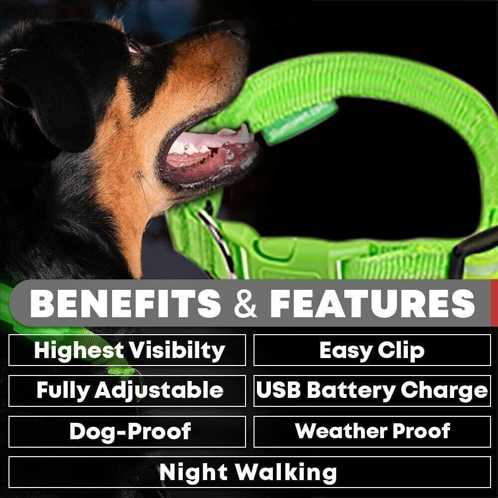 Enhanced Visibility USB Rechargeable LED Dog Collar with Flashing Luminous Nylon for Safety