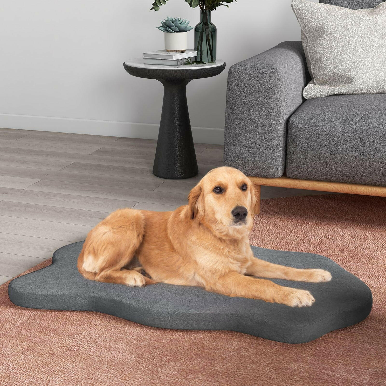 Luxury Large Dog Bed with Memory Foam Support and Removable Easy-to-Clean Cover