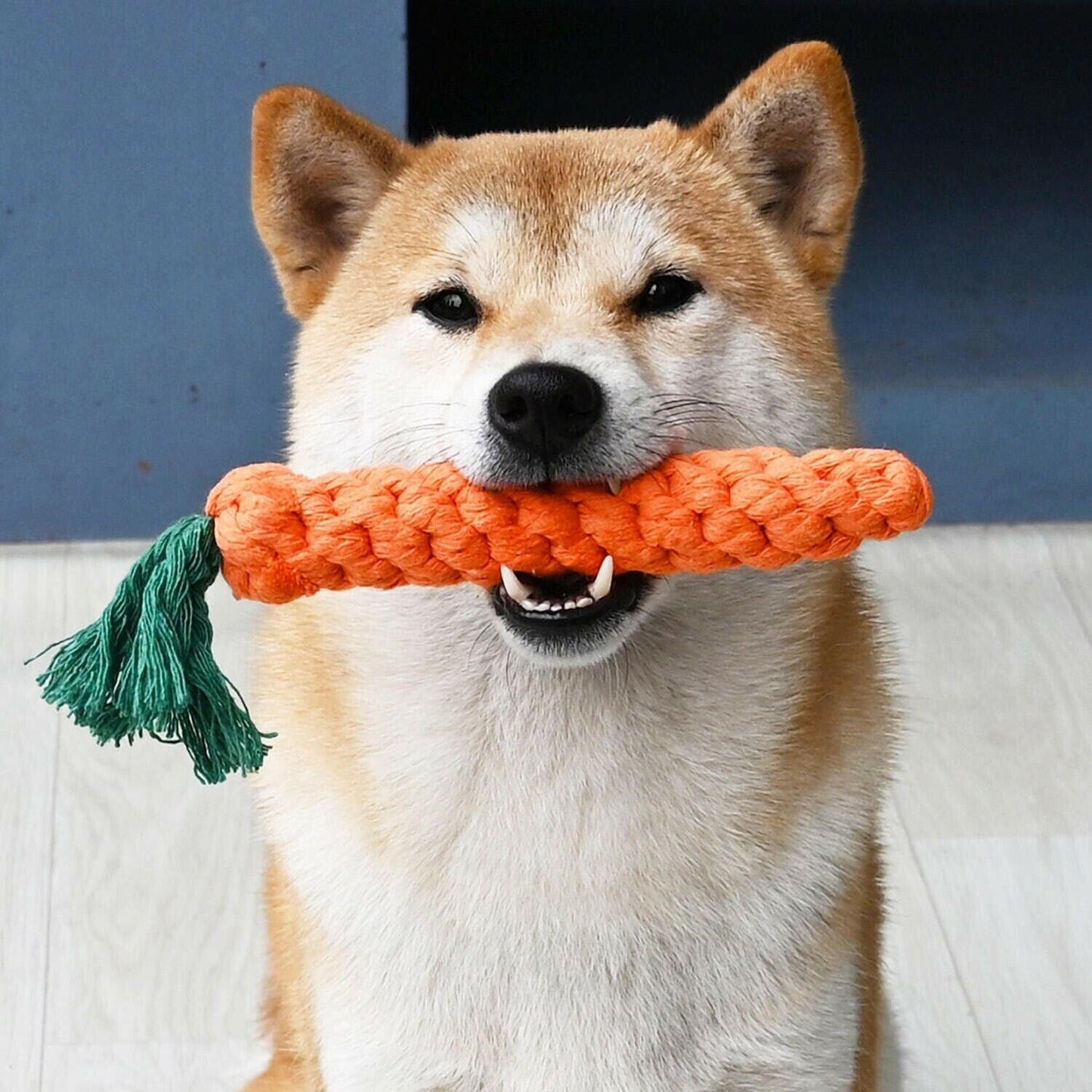 Antarcking Indestructible Chew Toys: Dog Toys for Aggressive Chewers