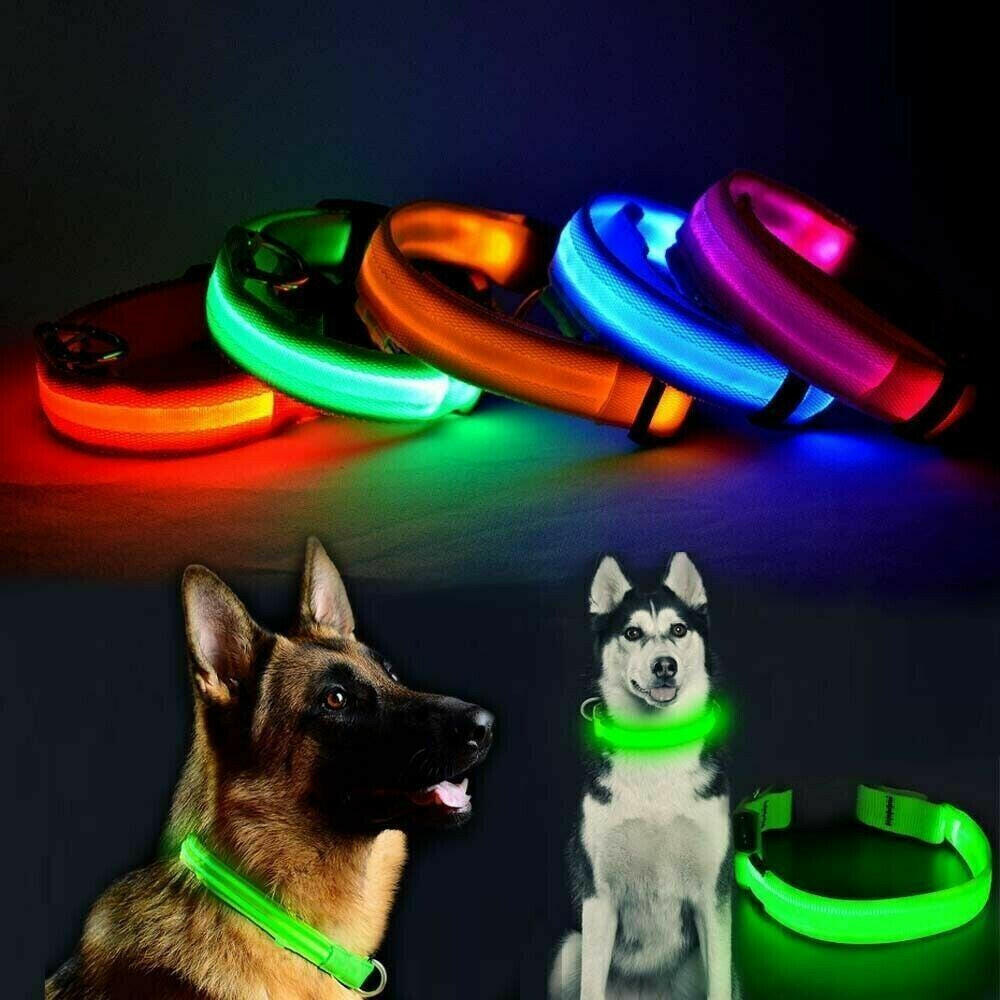 Enhanced Visibility USB Rechargeable LED Dog Collar with Flashing Luminous Nylon for Safety