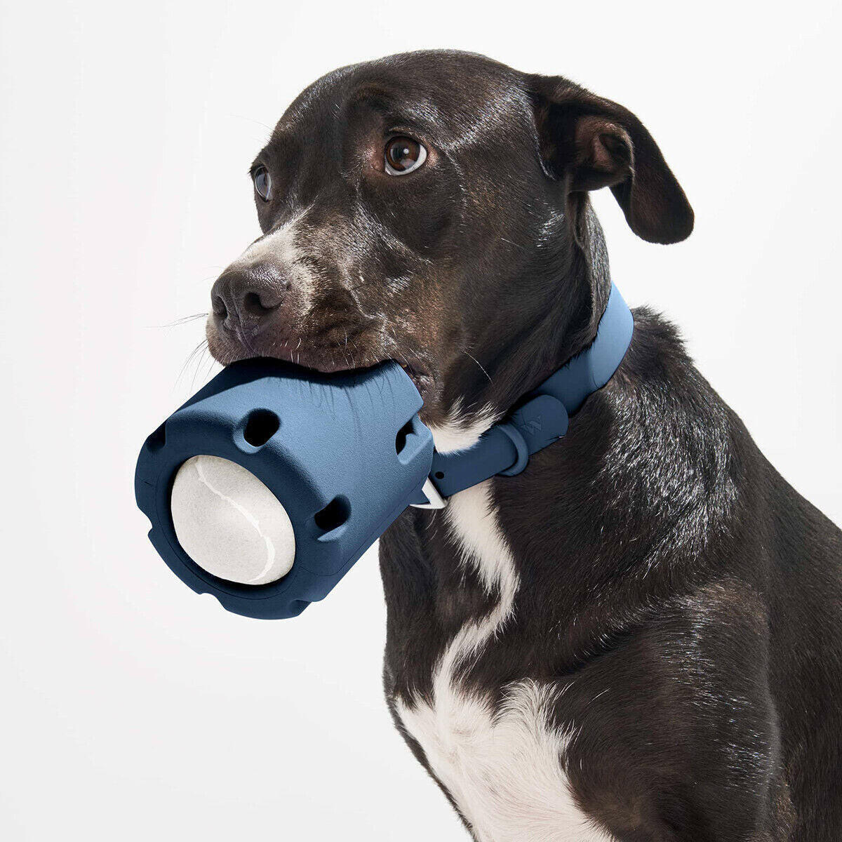 Tennis Tumble Puzzle Toy Dog Squeaky Toy Creative Training Interactive Chew Toys