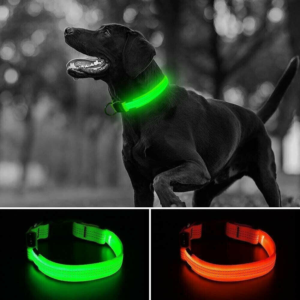 Enhanced Visibility USB Rechargeable LED Dog Collar with Flashing Luminous Nylon for Safety