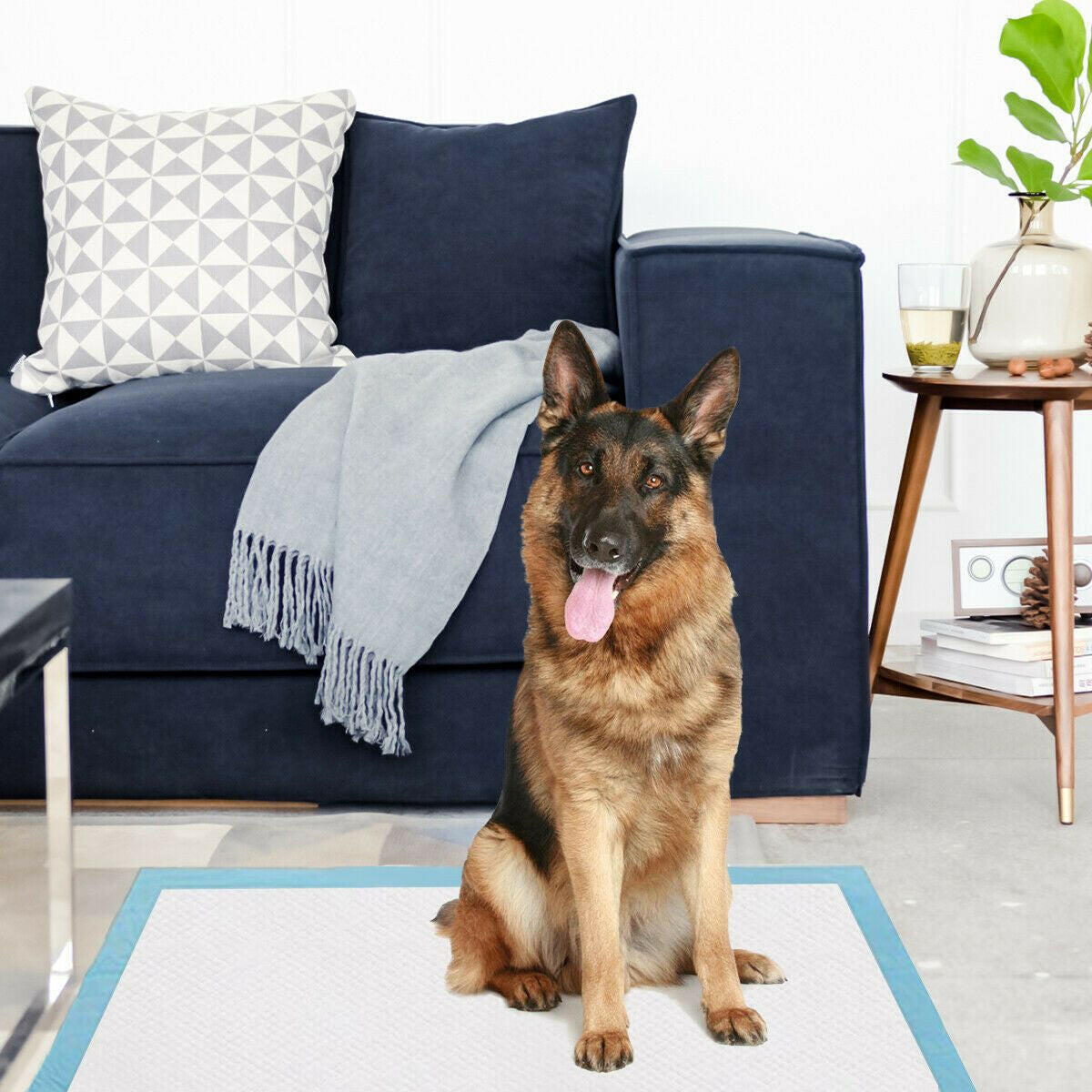 High-Quality Dog Pee Pads with 5-Layer Design in 4 Sizes for Maximum Absorbency and Ease of Use