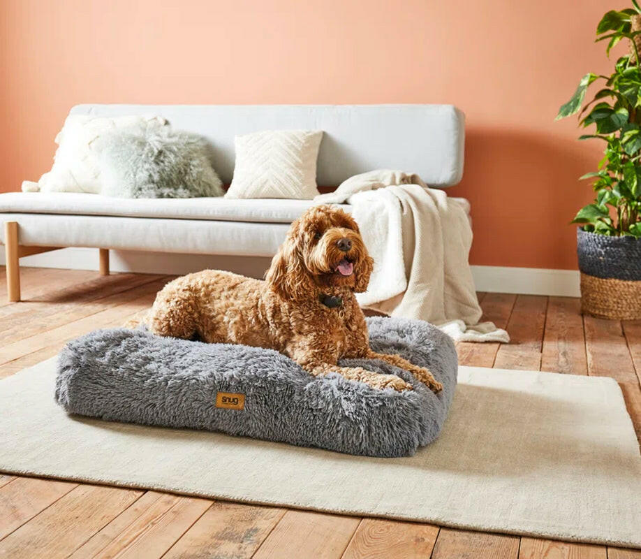 Luxurious Grey Dog Bed: Providing Comfort and Shelter for Your Beloved Companion