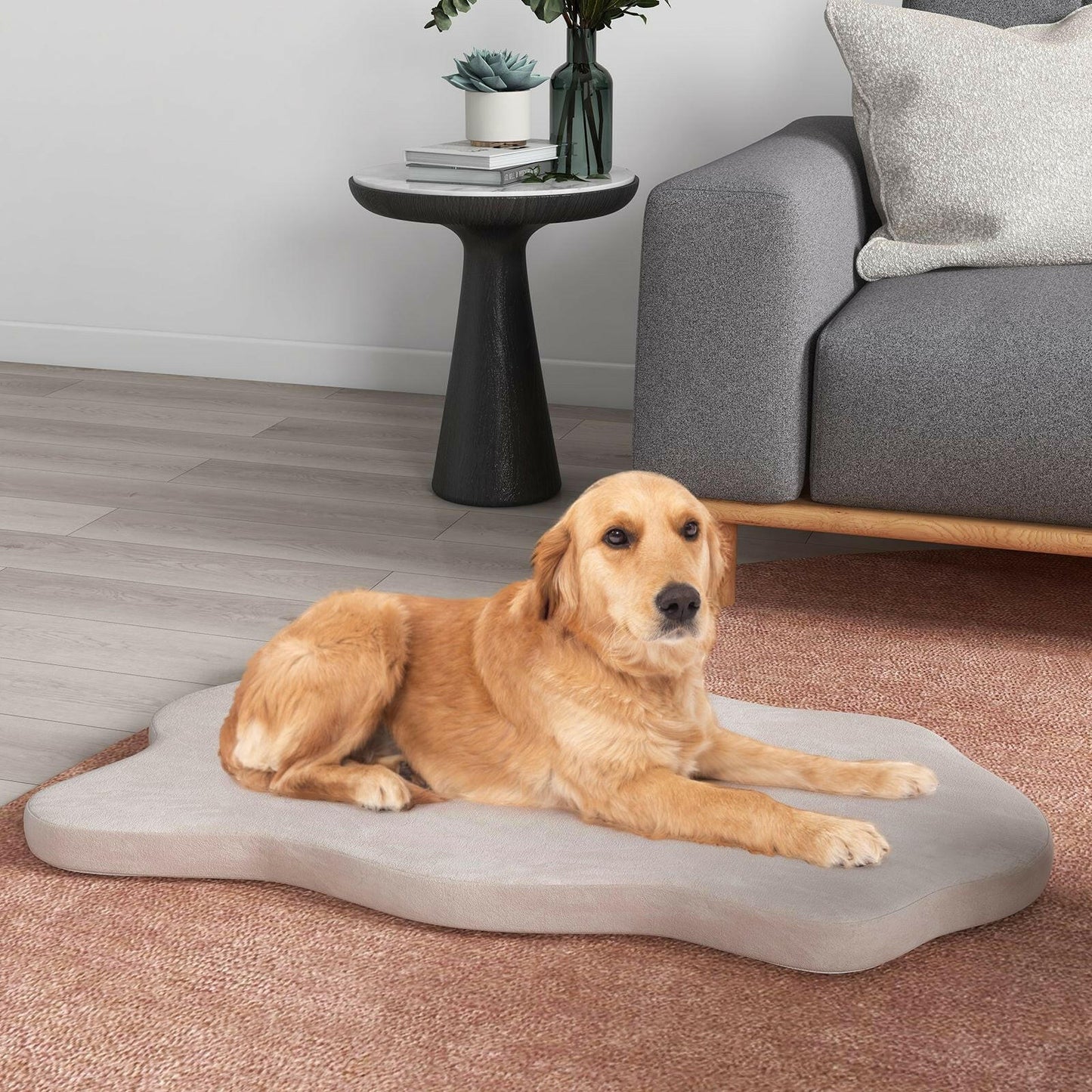 Luxury Large Dog Bed with Memory Foam Support and Removable Easy-to-Clean Cover