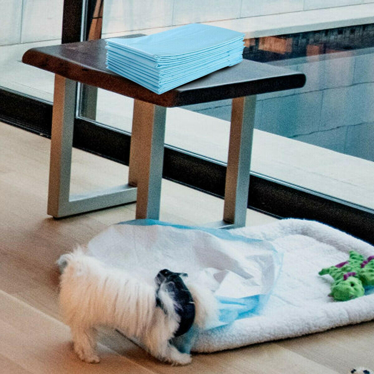 High-Quality Dog Pee Pads with 5-Layer Design in 4 Sizes for Maximum Absorbency and Ease of Use