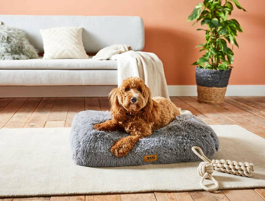 Luxurious Grey Dog Bed: Providing Comfort and Shelter for Your Beloved Companion
