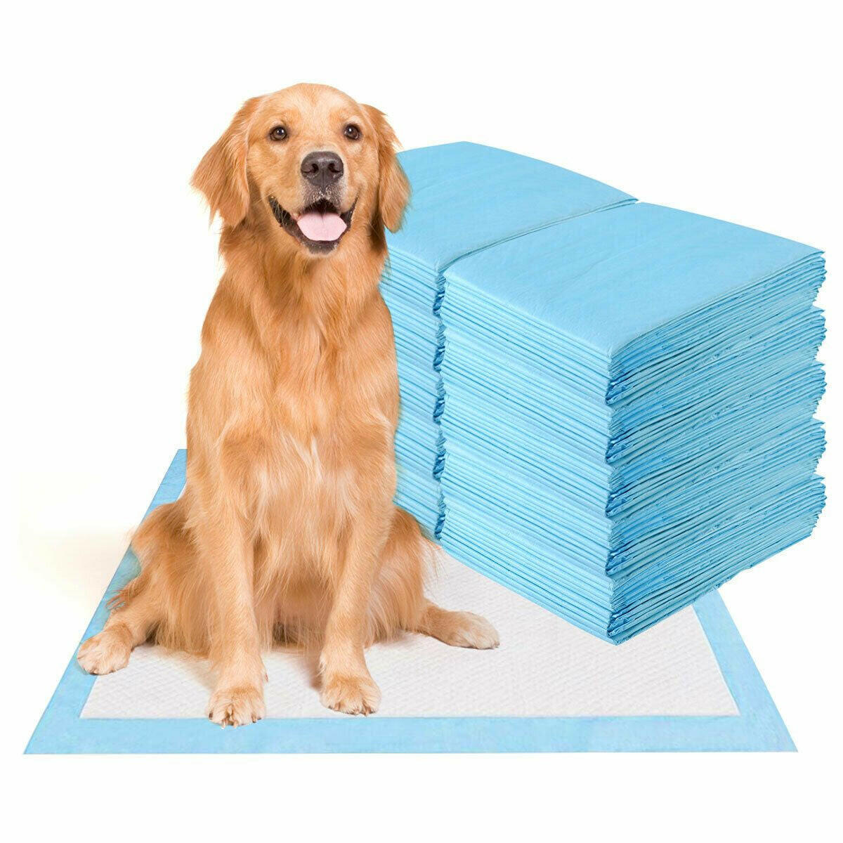 High-Quality Dog Pee Pads with 5-Layer Design in 4 Sizes for Maximum Absorbency and Ease of Use