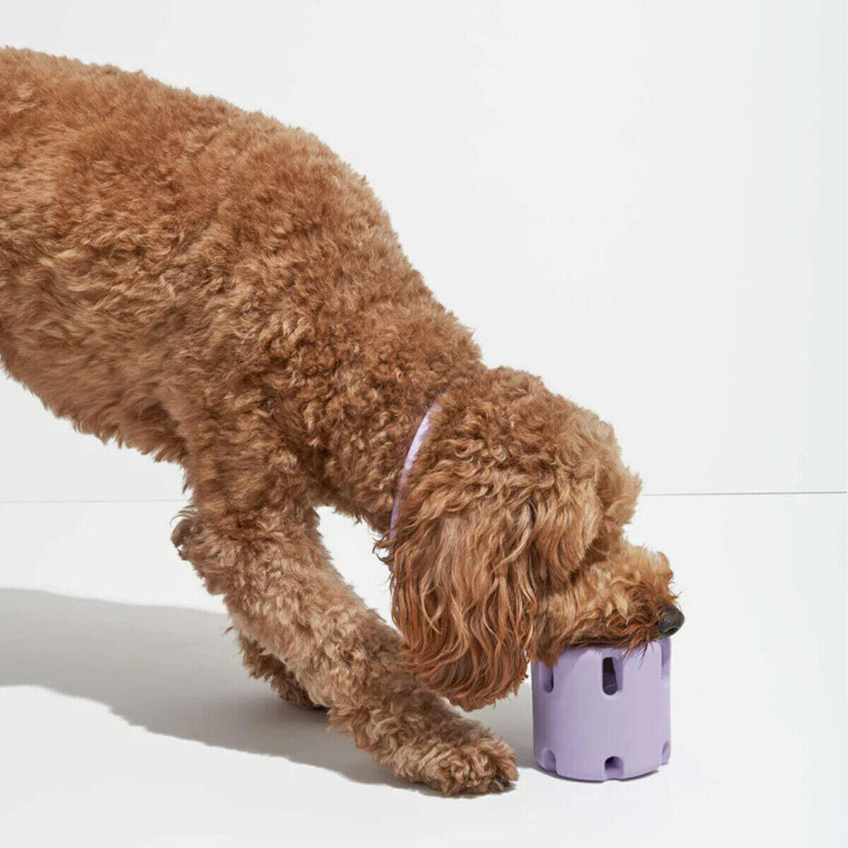 Tennis Tumble Puzzle Toy Dog Squeaky Toy Creative Training Interactive Chew Toys