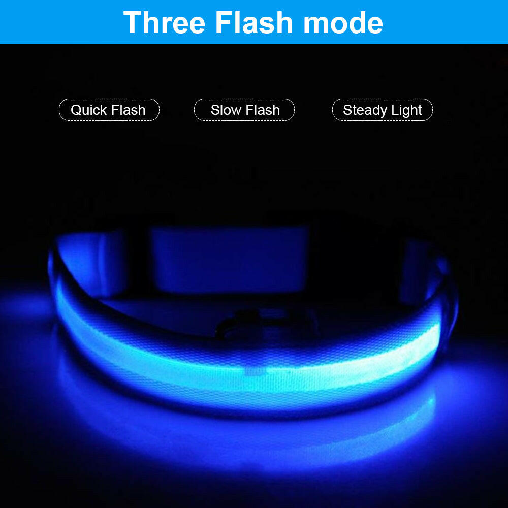 Enhanced Visibility USB Rechargeable LED Dog Collar with Flashing Luminous Nylon for Safety