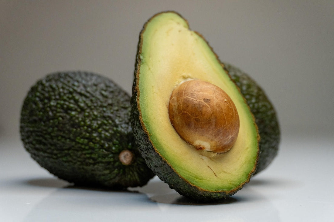 Can Dogs Eat Avocado?