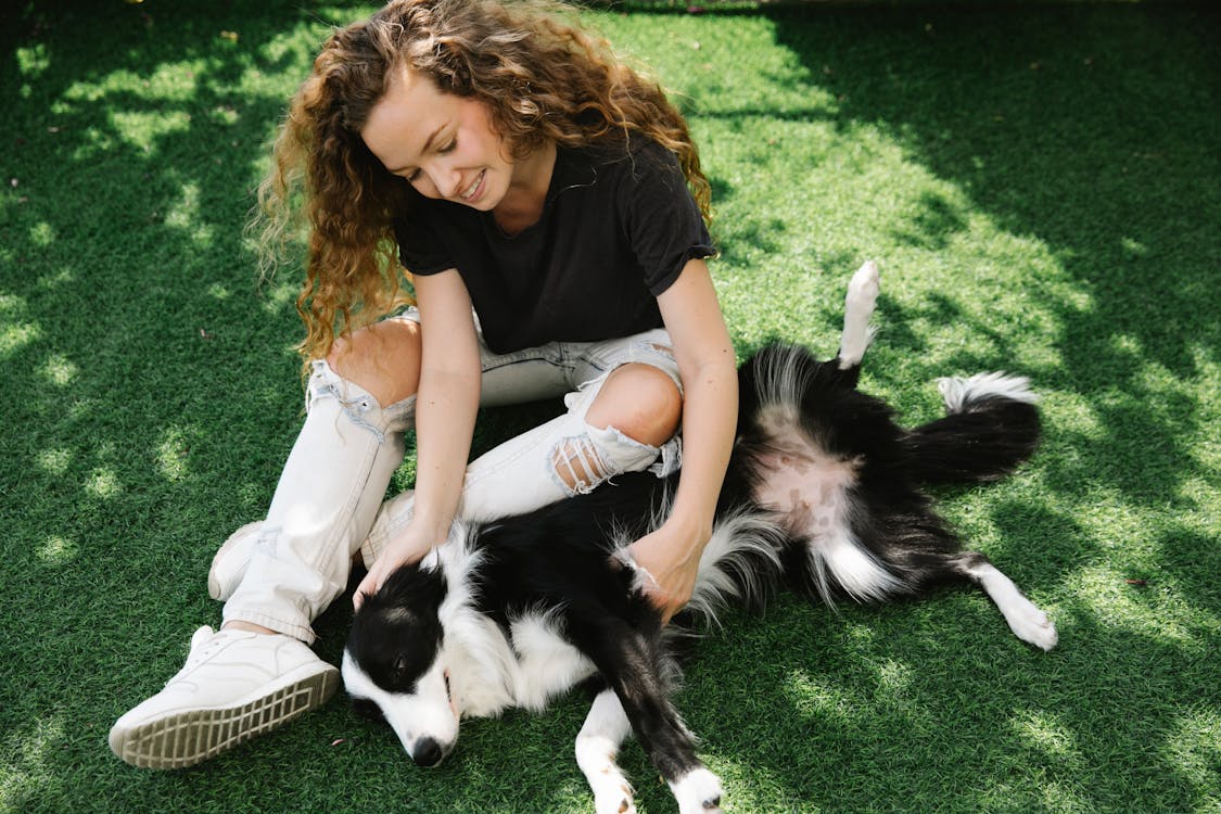 How Petting Dogs Enhances Mental Well-being – HappyDogCentral
