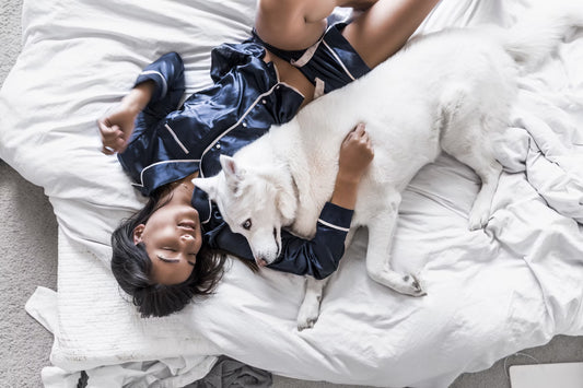 Should You Let Your Dog Sleep In Bed With You?