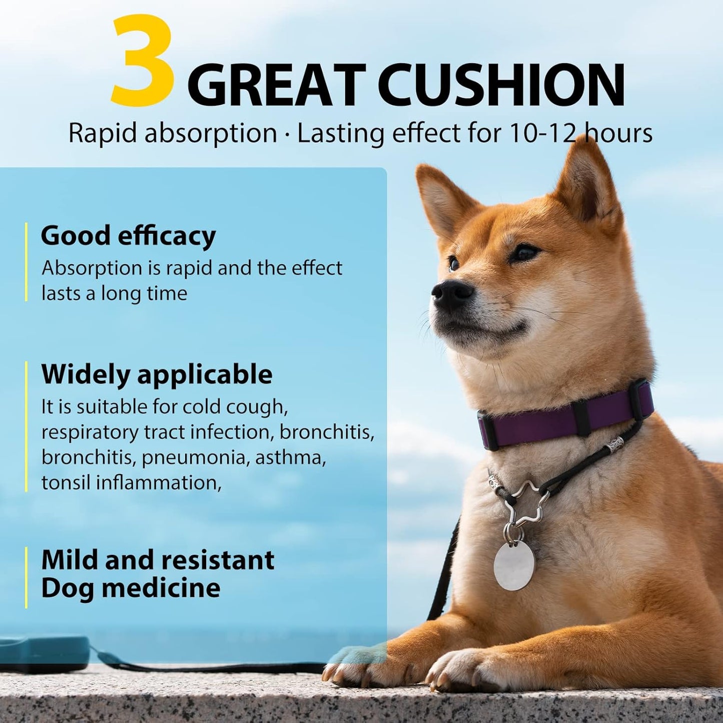 Dog Respiratory Support Liquid – Herbal Breathing & Immune Support