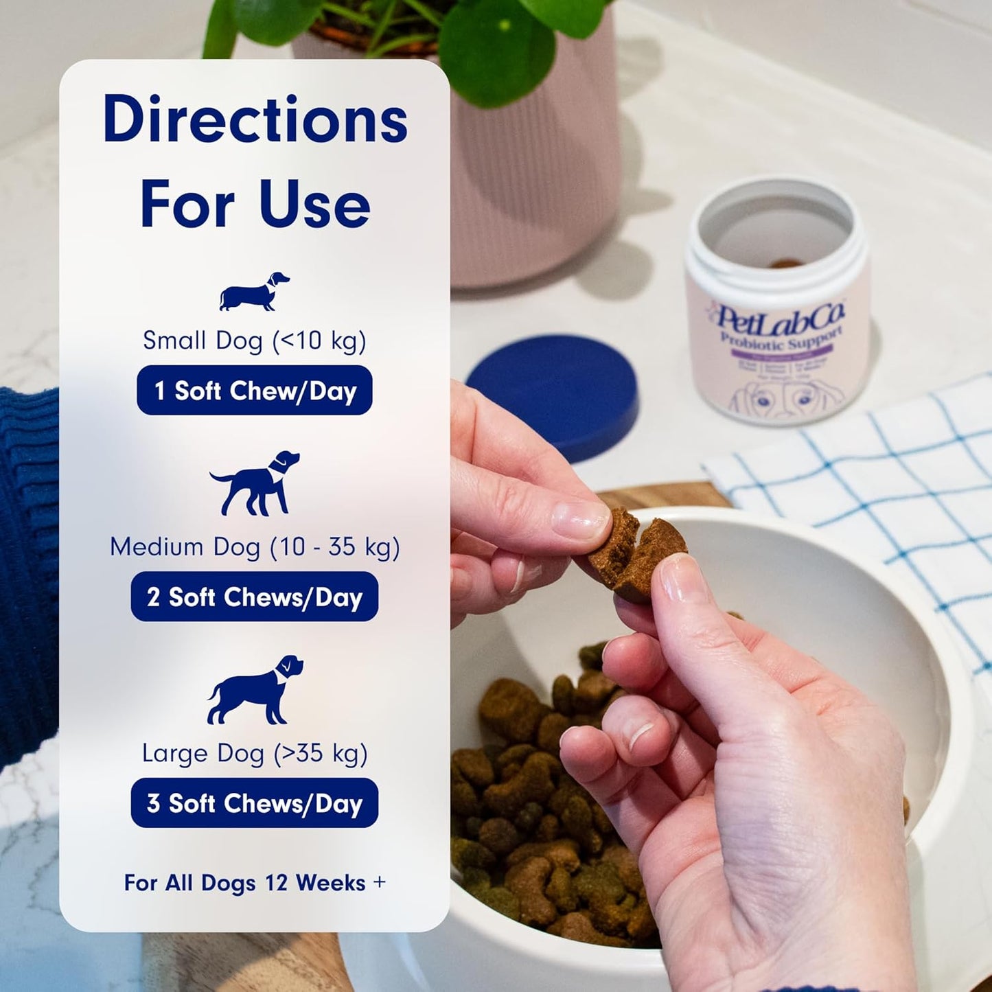 PetLab Co. Probiotics for Dogs – Gut Health, Digestion & Allergy Support (Salmon, 30 Soft Chews)