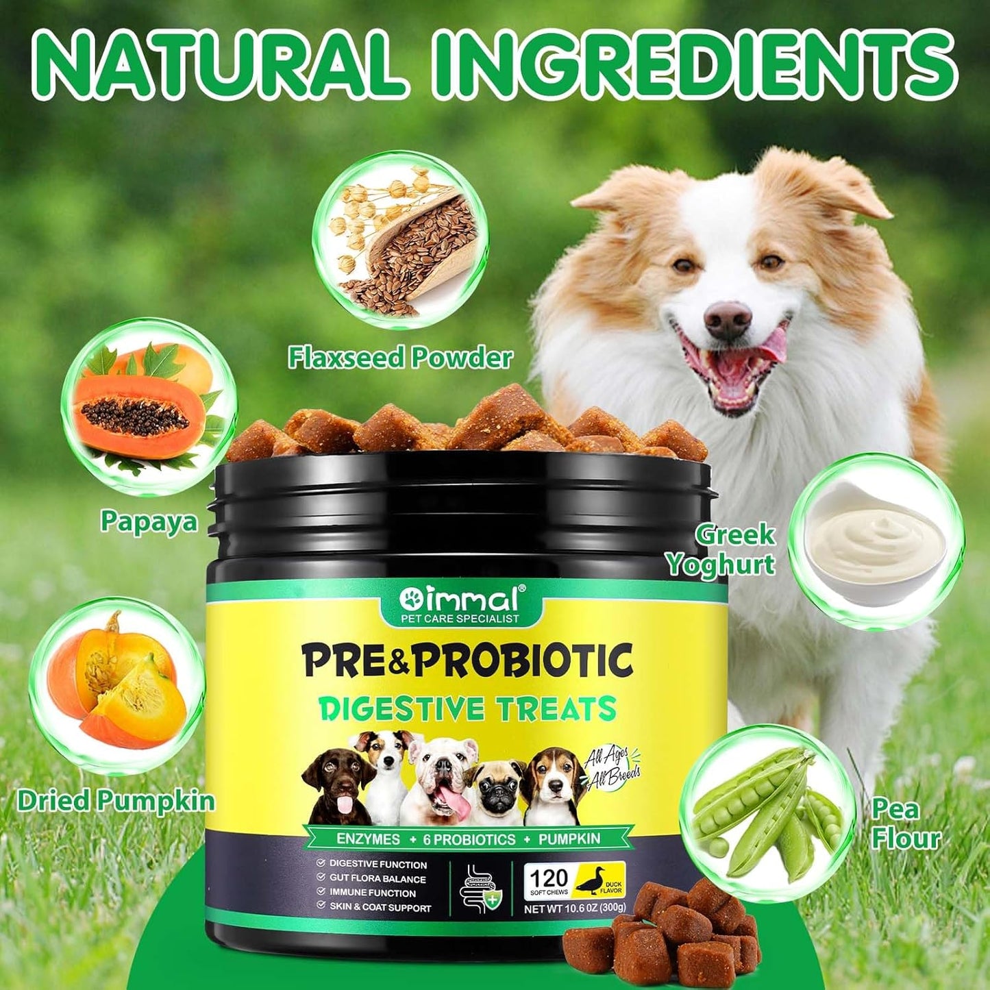 Dog Probiotics Soft Chews – Gut Health, Digestive & Immune Support with Pumpkin & Flaxseed (120 Chews)