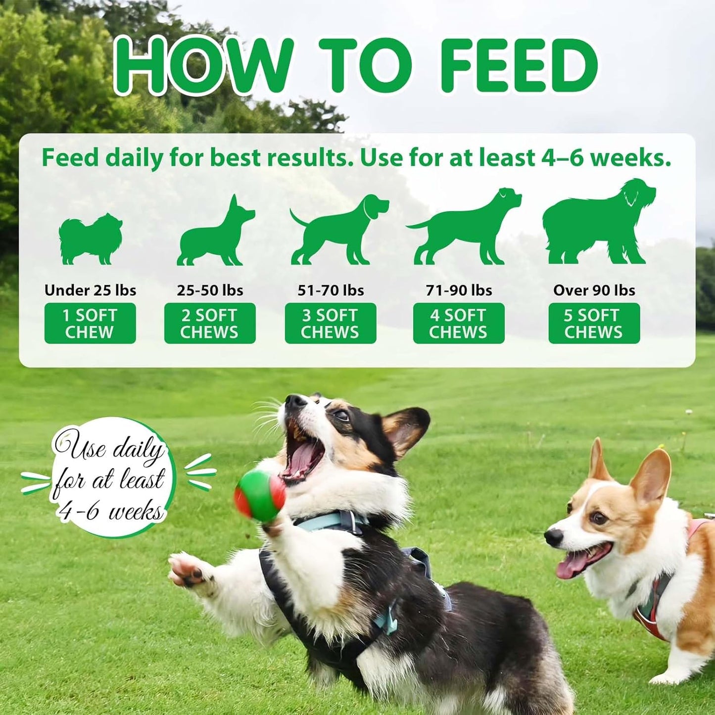 Dog Probiotics Soft Chews – Gut Health, Digestive & Immune Support with Pumpkin & Flaxseed (120 Chews)