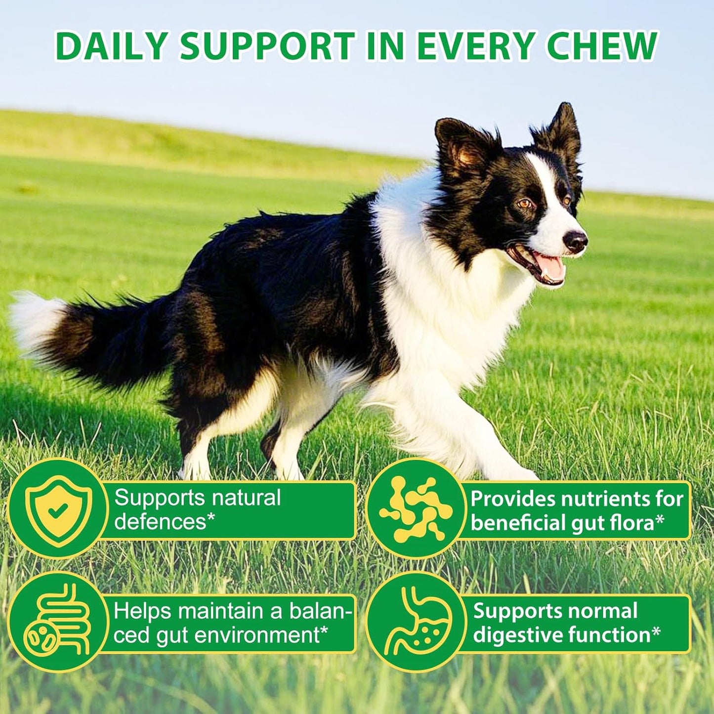 Dog Probiotics Soft Chews – Gut Health, Digestive & Immune Support with Pumpkin & Flaxseed (120 Chews)