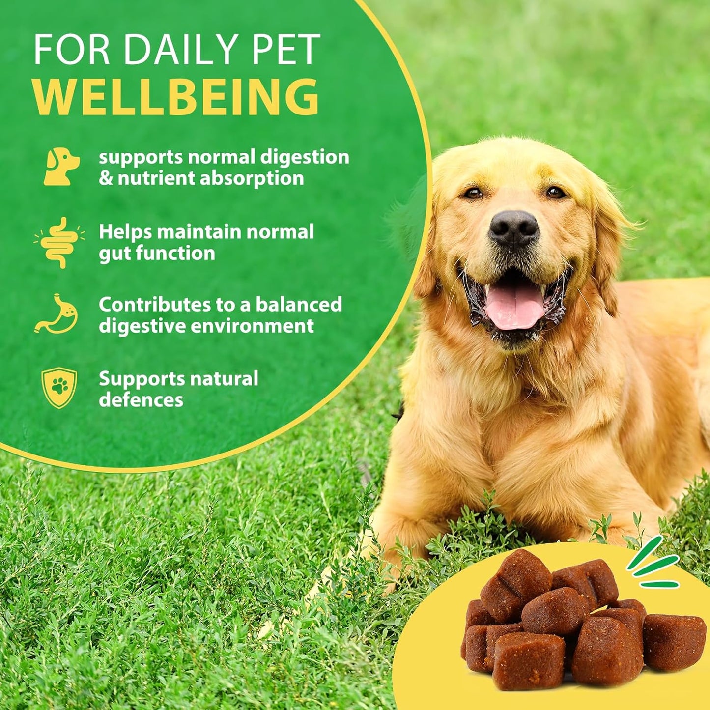 Dog Probiotics Soft Chews – Gut Health, Digestive & Immune Support with Pumpkin & Flaxseed (120 Chews)