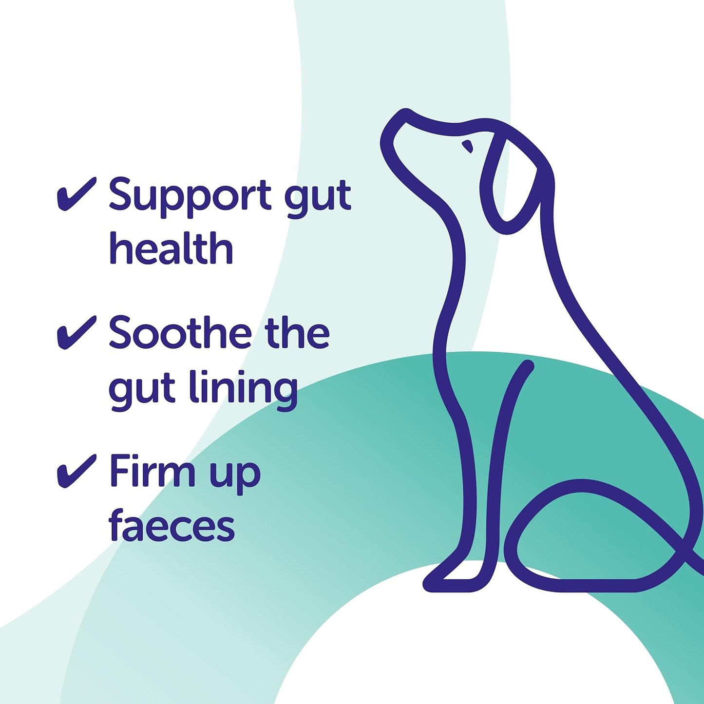 Protexin Pro-Kolin Advanced for Dogs – 60ml Veterinary Digestive Support Oral Paste