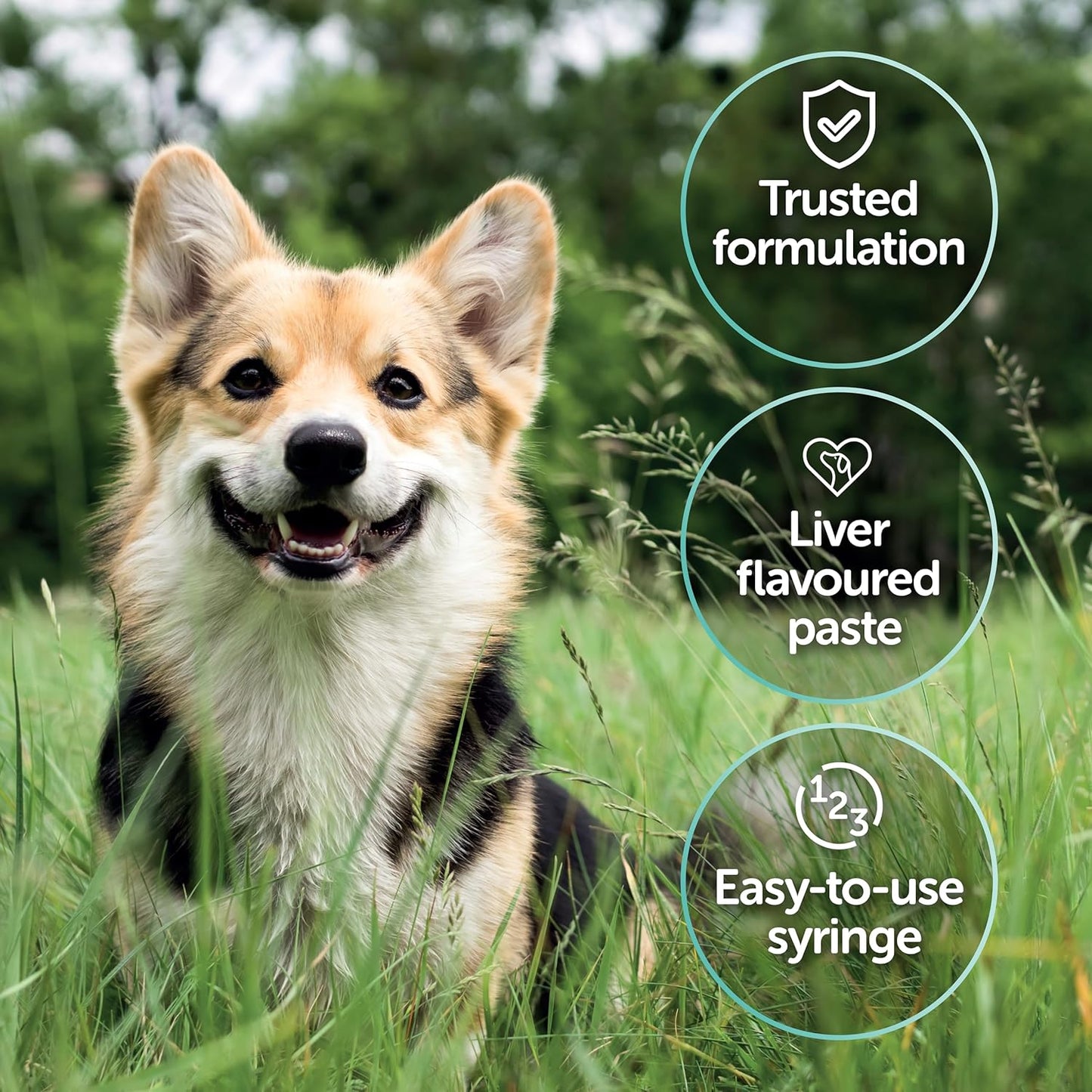 Protexin Pro-Kolin Advanced for Dogs – 60ml Veterinary Digestive Support Oral Paste