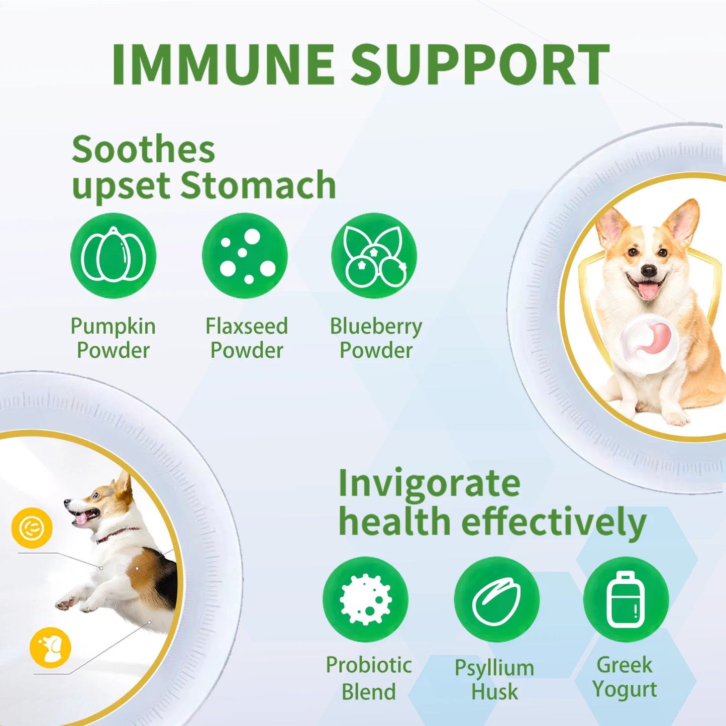 VITABIA Probiotic Chews for Dogs – Gut Health, Digestion & Anal Gland Support (60 Chews)