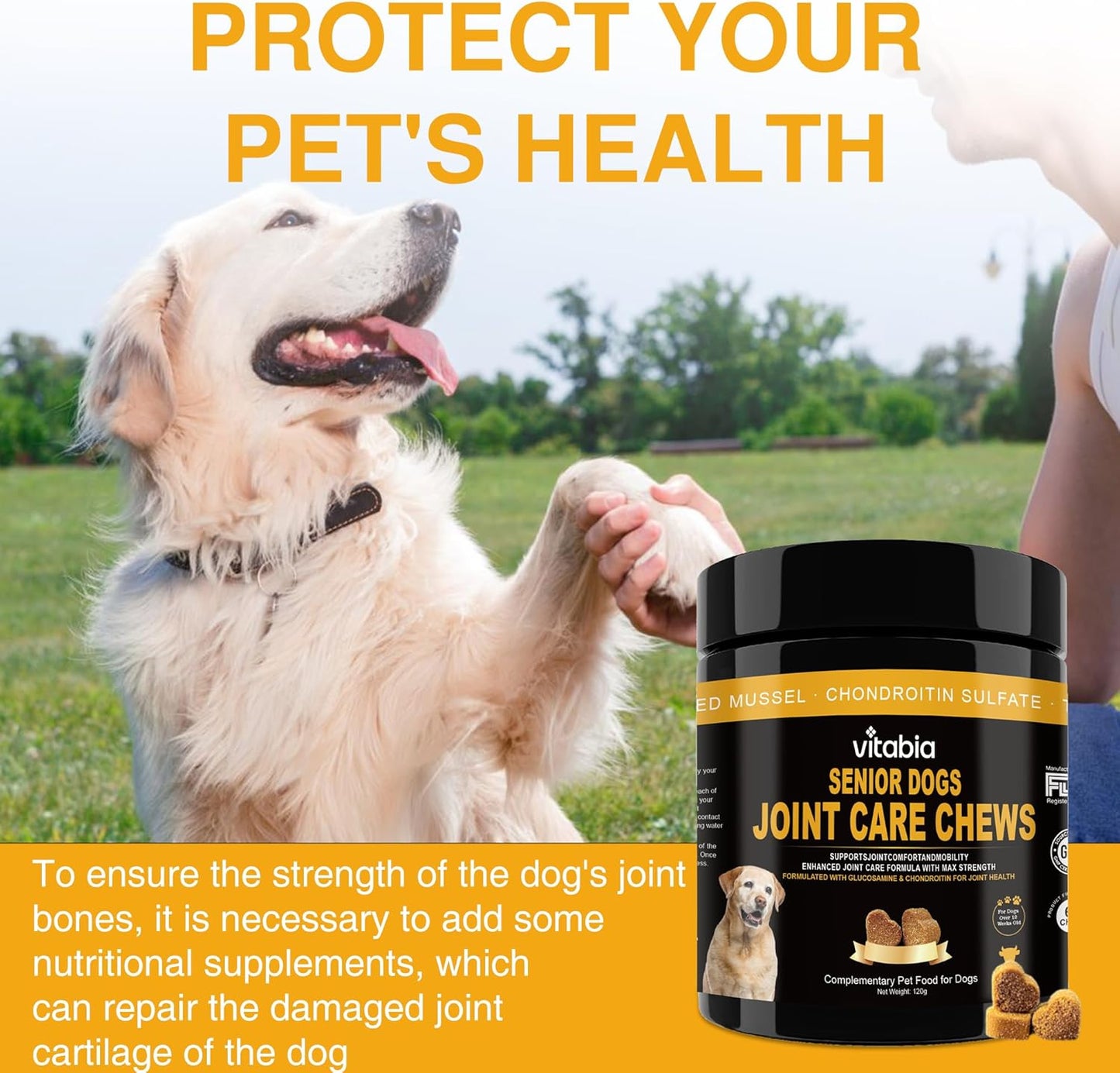 VITABIA Senior Dog Joint Supplement Chews – Glucosamine & Omega-3 Joint Support (120 Chews)