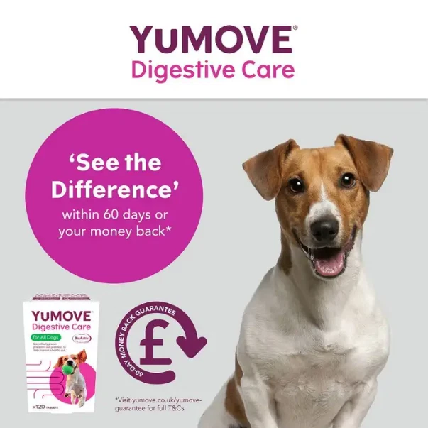YuMOVE Digestive Care Pre & Probiotic Dog Supplement – Gut Health Support (120 Tablets)