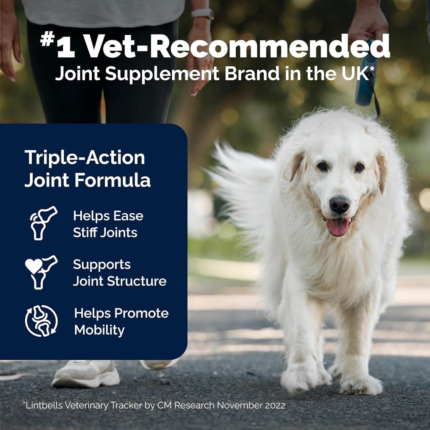 YuMOVE Senior Dog Joint Supplement – Hip & Joint Support for Dogs 8+ (240 Tablets)