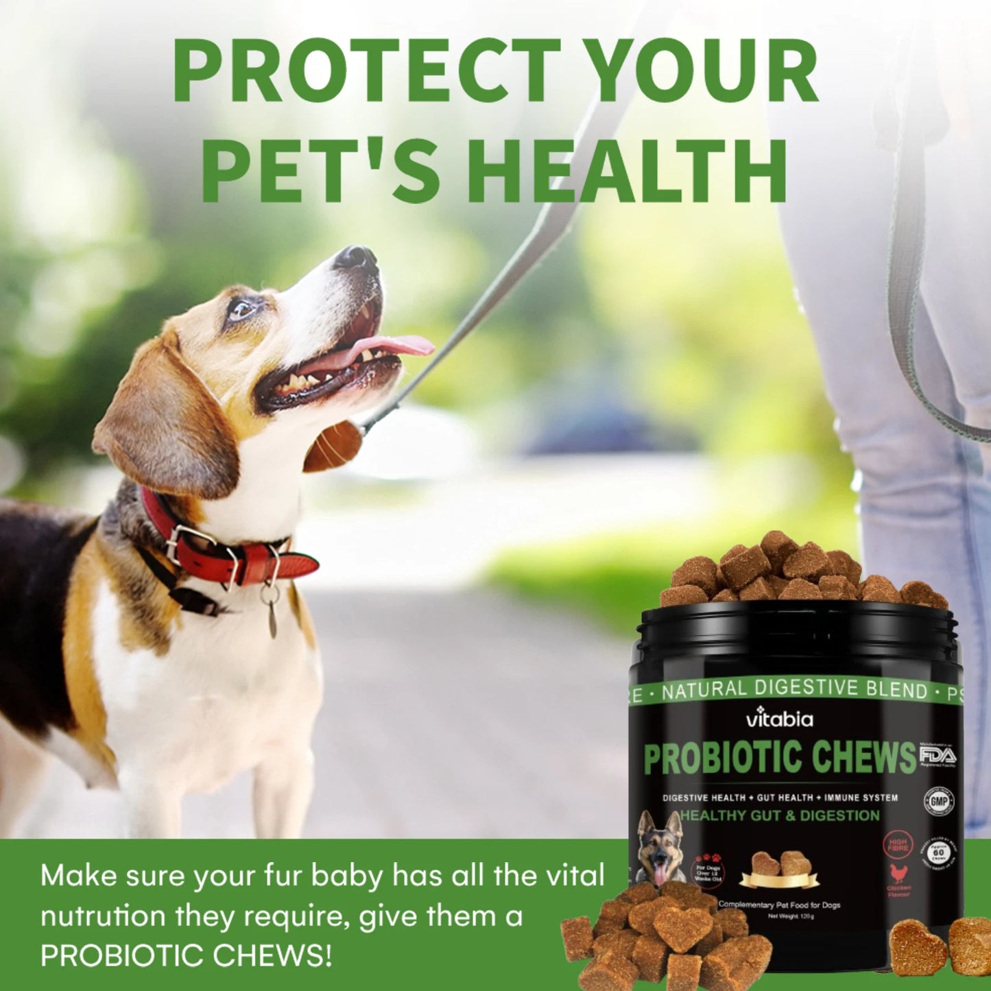 VITABIA Probiotic Chews for Dogs – Gut Health, Digestion & Anal Gland Support (60 Chews)