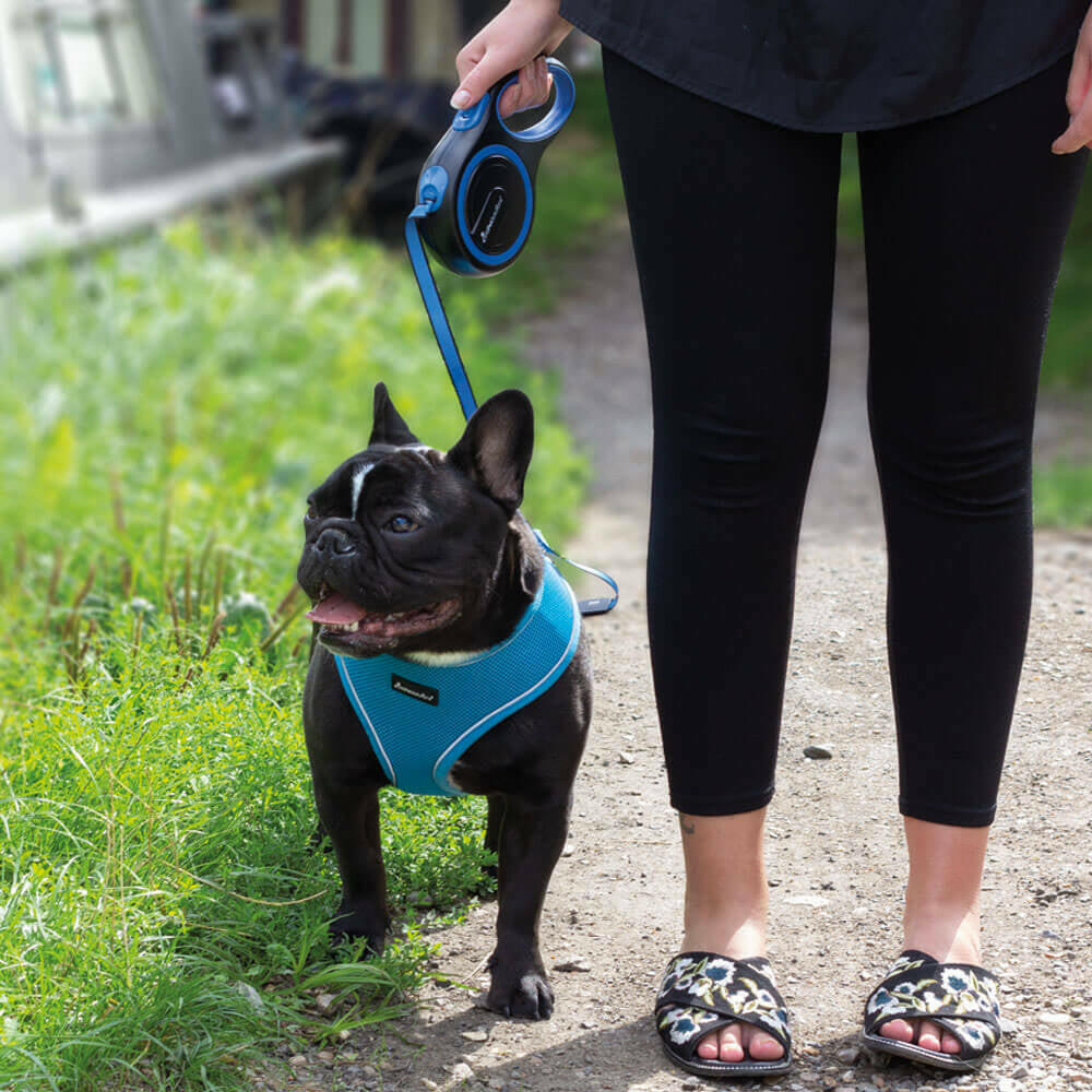 Adjustable Retractable Dog Leash: Extendable Tape Cord in 3M, 5M, and 8M Lengths, Ideal for Dogs up to 50Kg - Allpetsolution