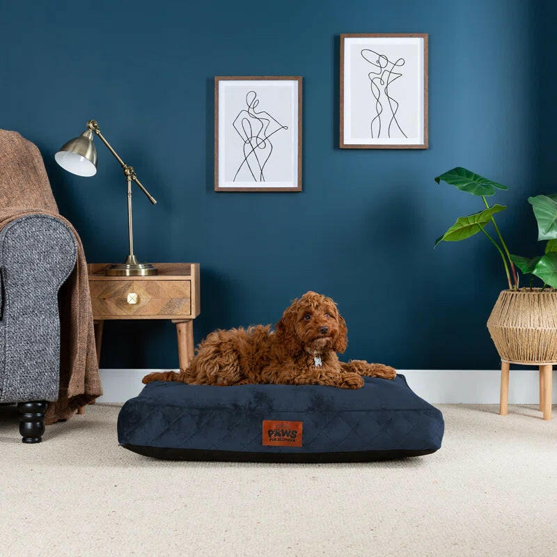 Luxurious Comfort: Machine Washable Cushioned Velvet Pet Bed for Restful Sleep