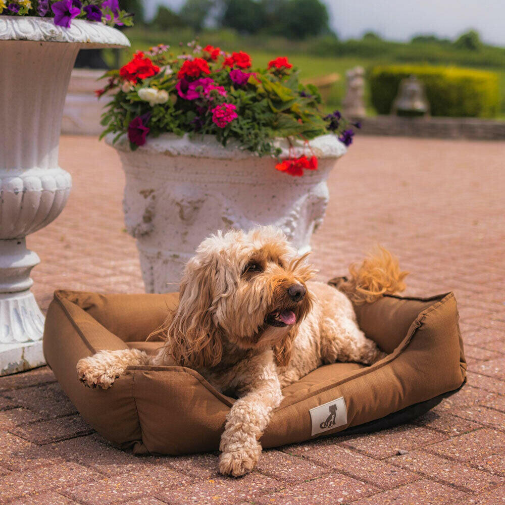 All Pet Solutions Dexter Dog Bed with Soft, Waterproof, Washable, and Durable Basket Design