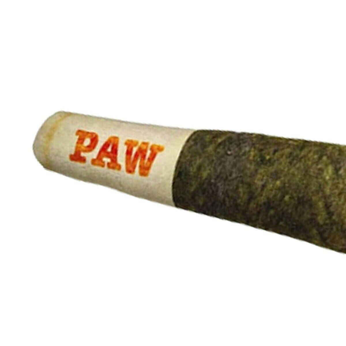 Large PAW Joint Chew Toy - Doggy Doobie