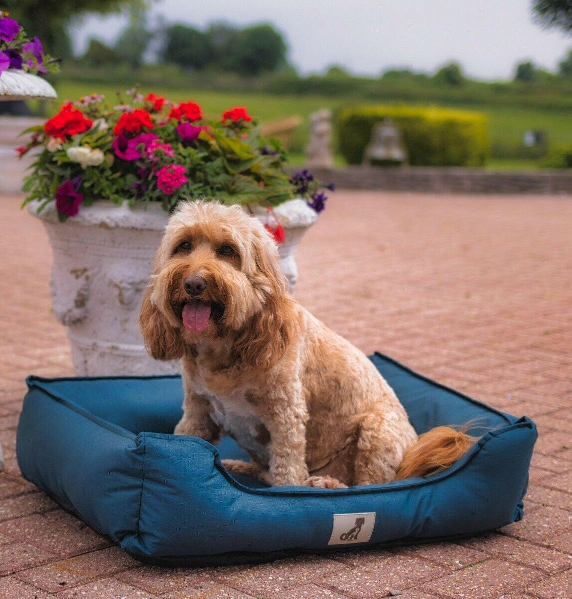 All Pet Solutions Dexter Dog Bed with Soft, Waterproof, Washable, and Durable Basket Design