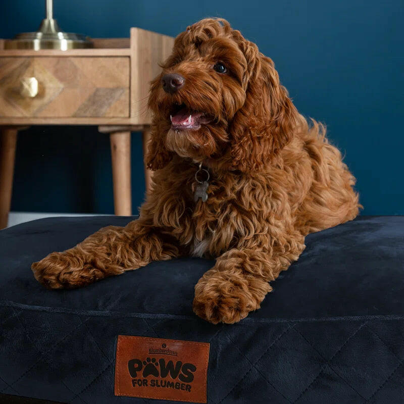 Luxurious Comfort: Machine Washable Cushioned Velvet Pet Bed for Restful Sleep