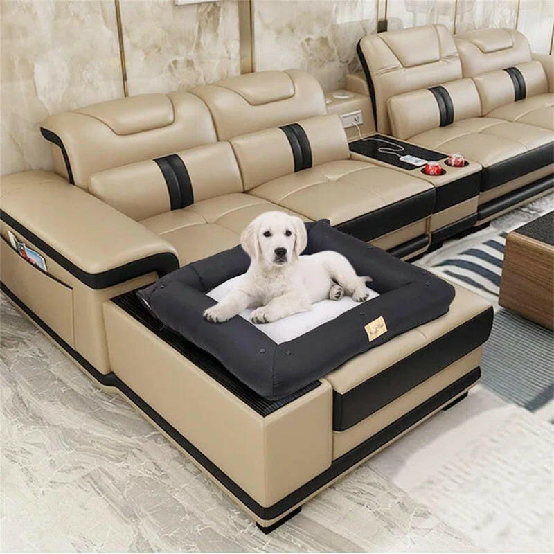Dog Bed in a Solid Colour
