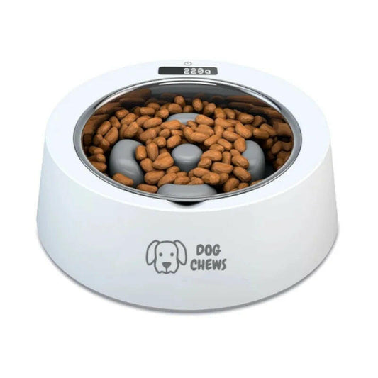 Smart Canine Feeding Bowl