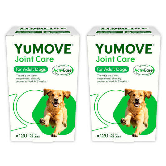 Joint Care for Adult Dogs: 2 x 120 Tablets for Enhanced Mobility and Comfort