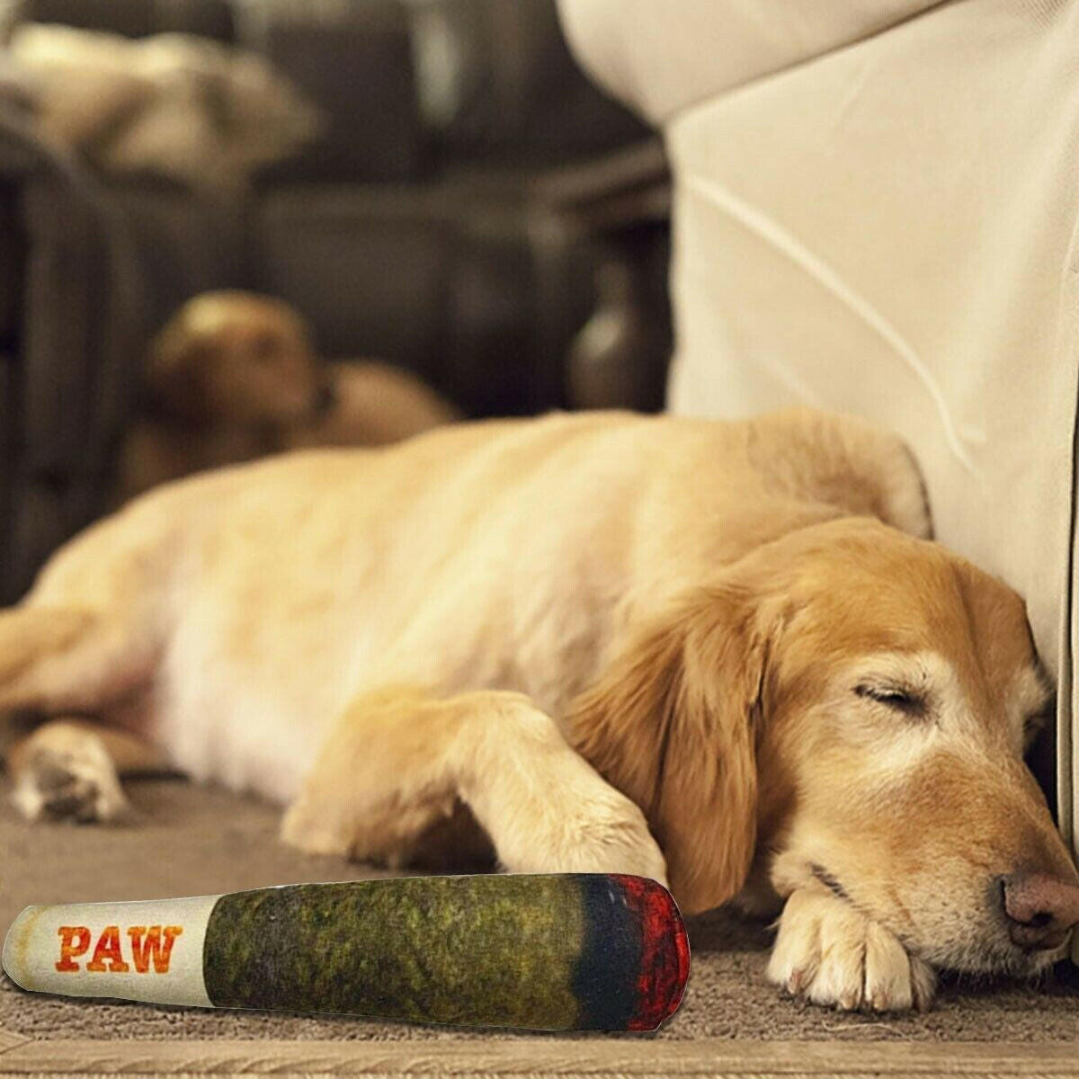 Large PAW Joint Chew Toy - Doggy Doobie