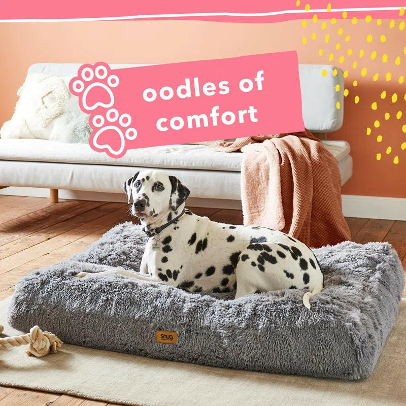 Luxurious Grey Dog Bed: Providing Comfort and Shelter for Your Beloved Companion
