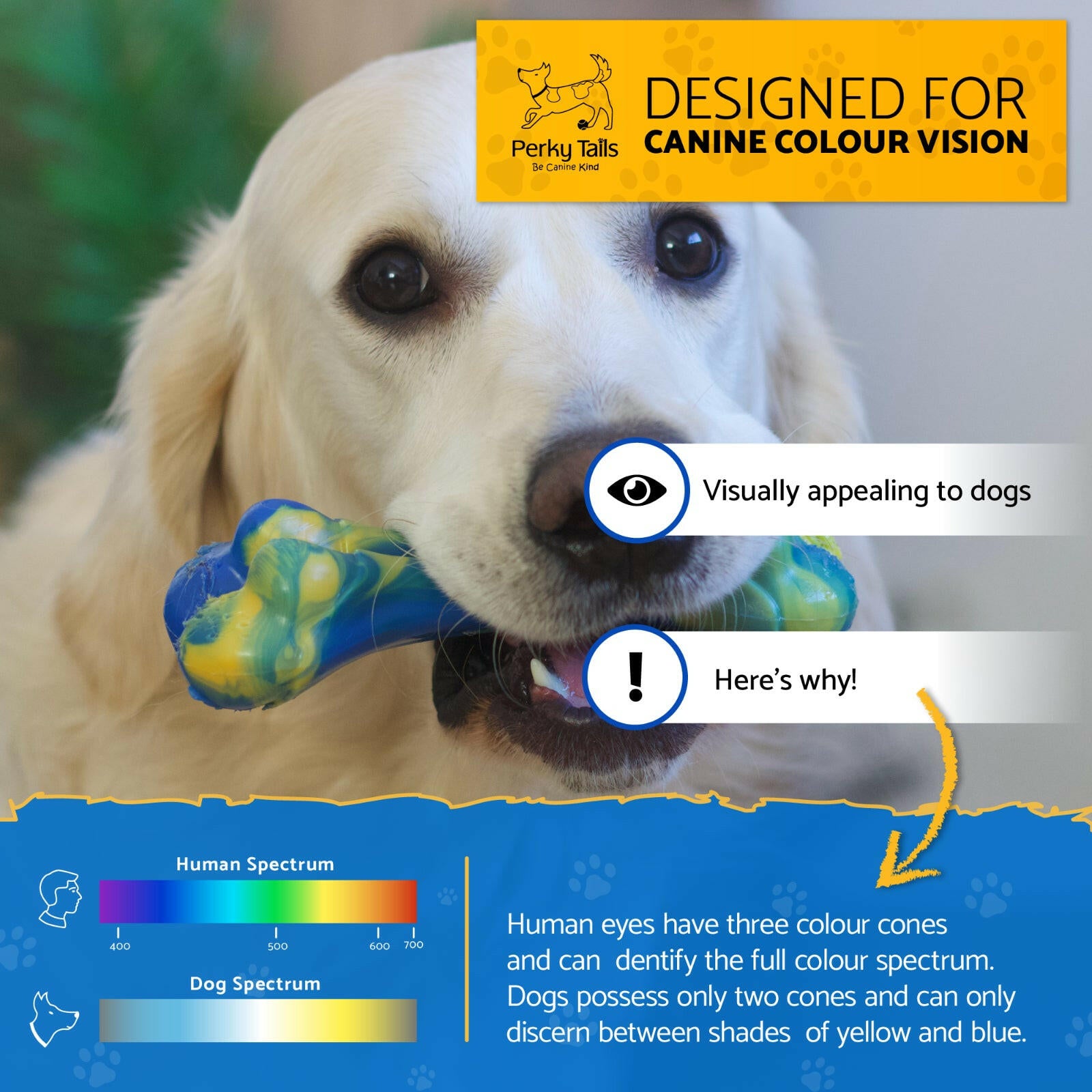 Durable Nylon Bone Chew Toys: Ideal for Aggressive Chewers