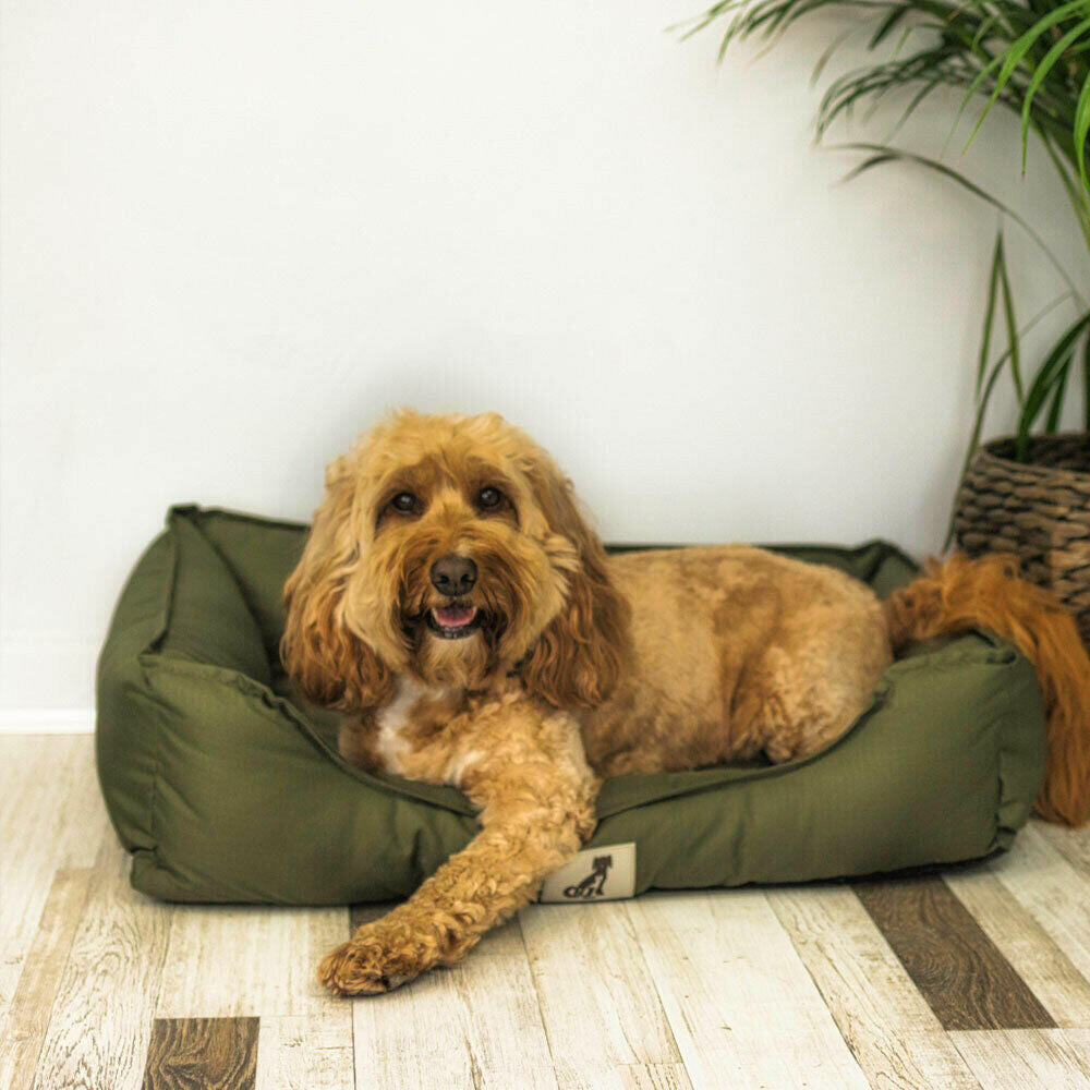 All Pet Solutions Dexter Dog Bed with Soft, Waterproof, Washable, and Durable Basket Design