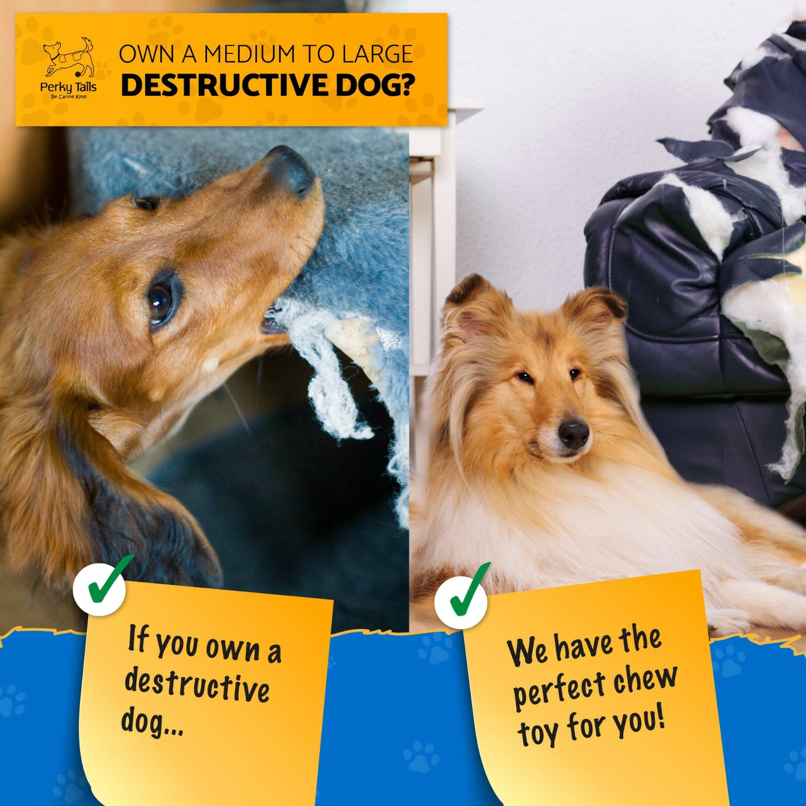 Durable Nylon Bone Chew Toys: Ideal for Aggressive Chewers