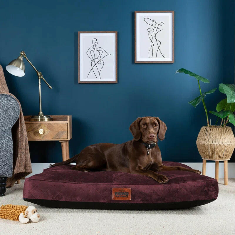 Luxurious Comfort: Machine Washable Cushioned Velvet Pet Bed for Restful Sleep